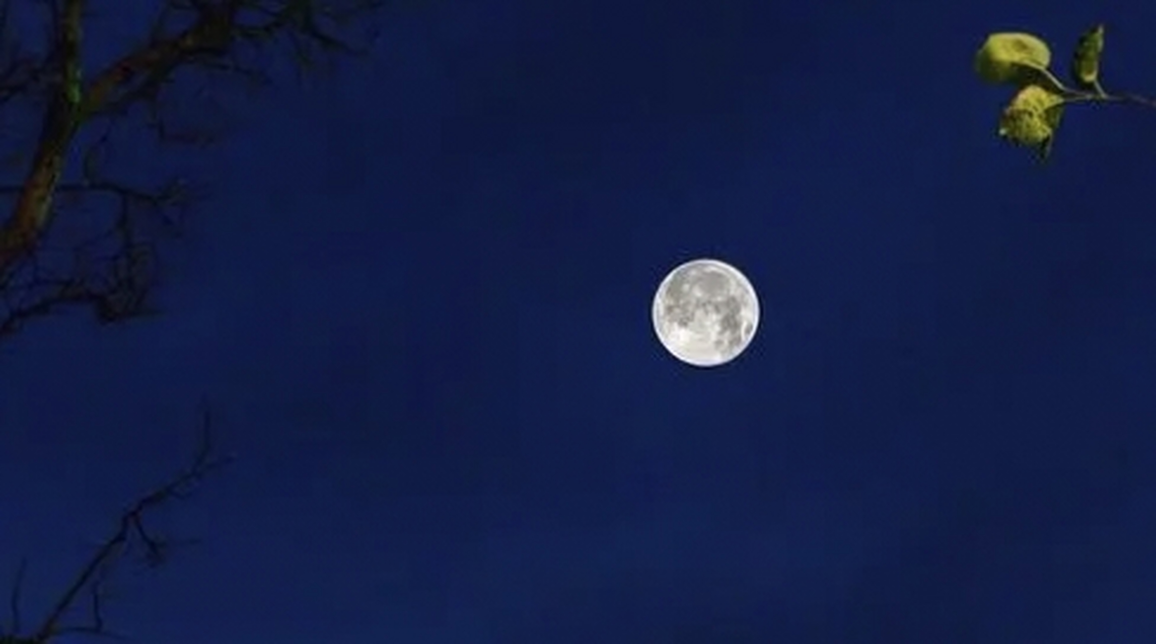 床前明月光,疑是地上霜. 举头望明月,低头思故乡.