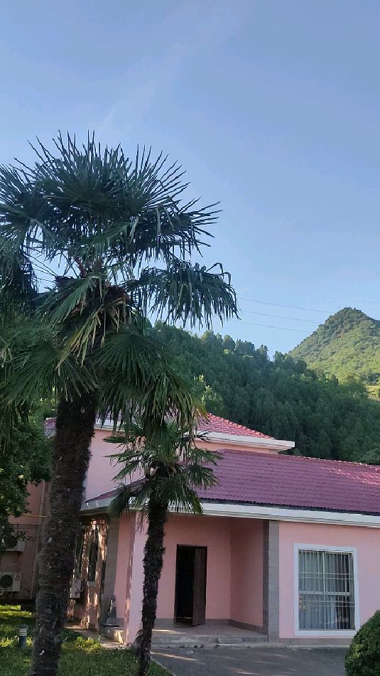 陕西省宝鸡市眉县汤峪镇环境优美,气候适宜-度小视