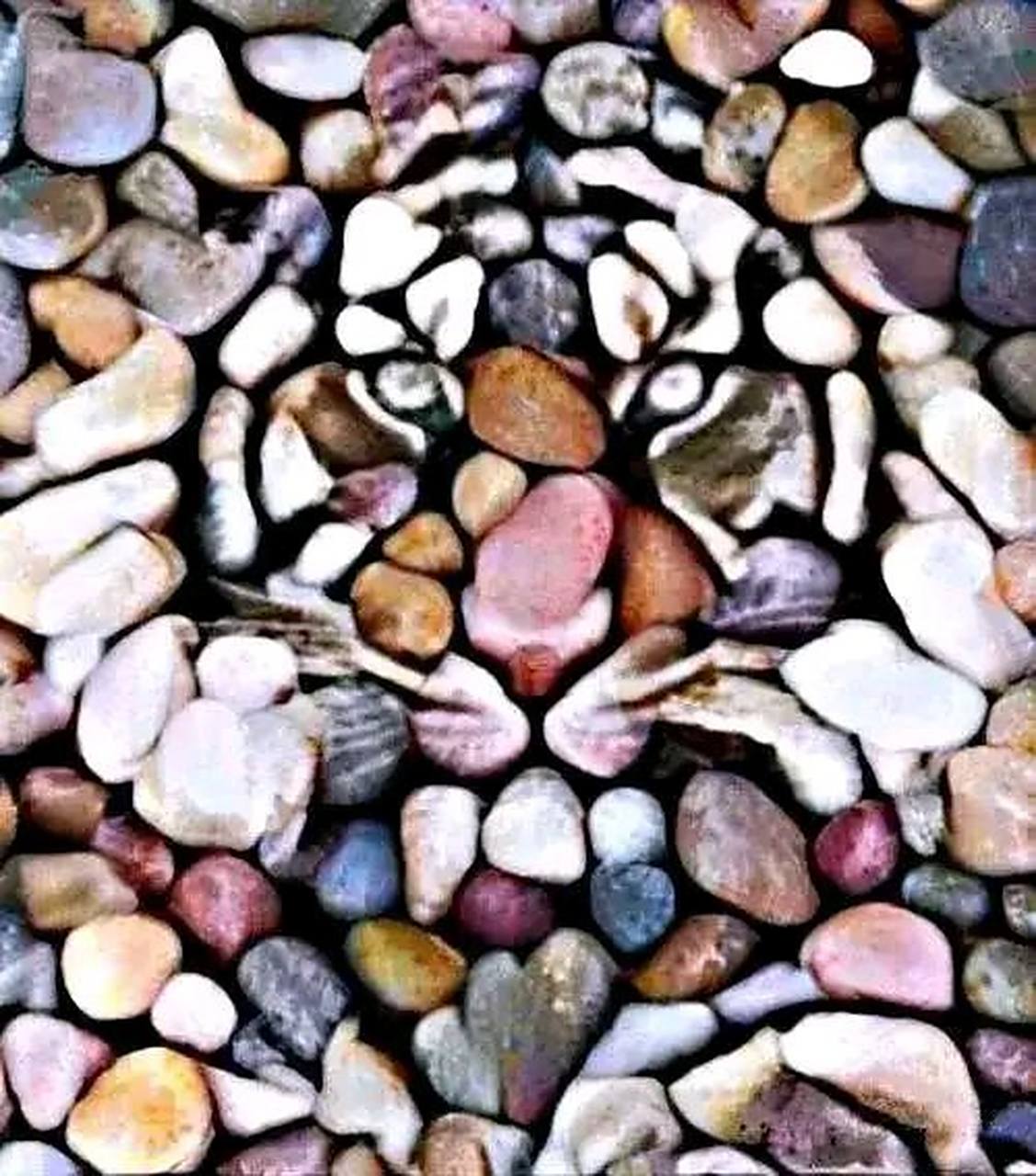 心理测试: 你第一眼看到的是什么?