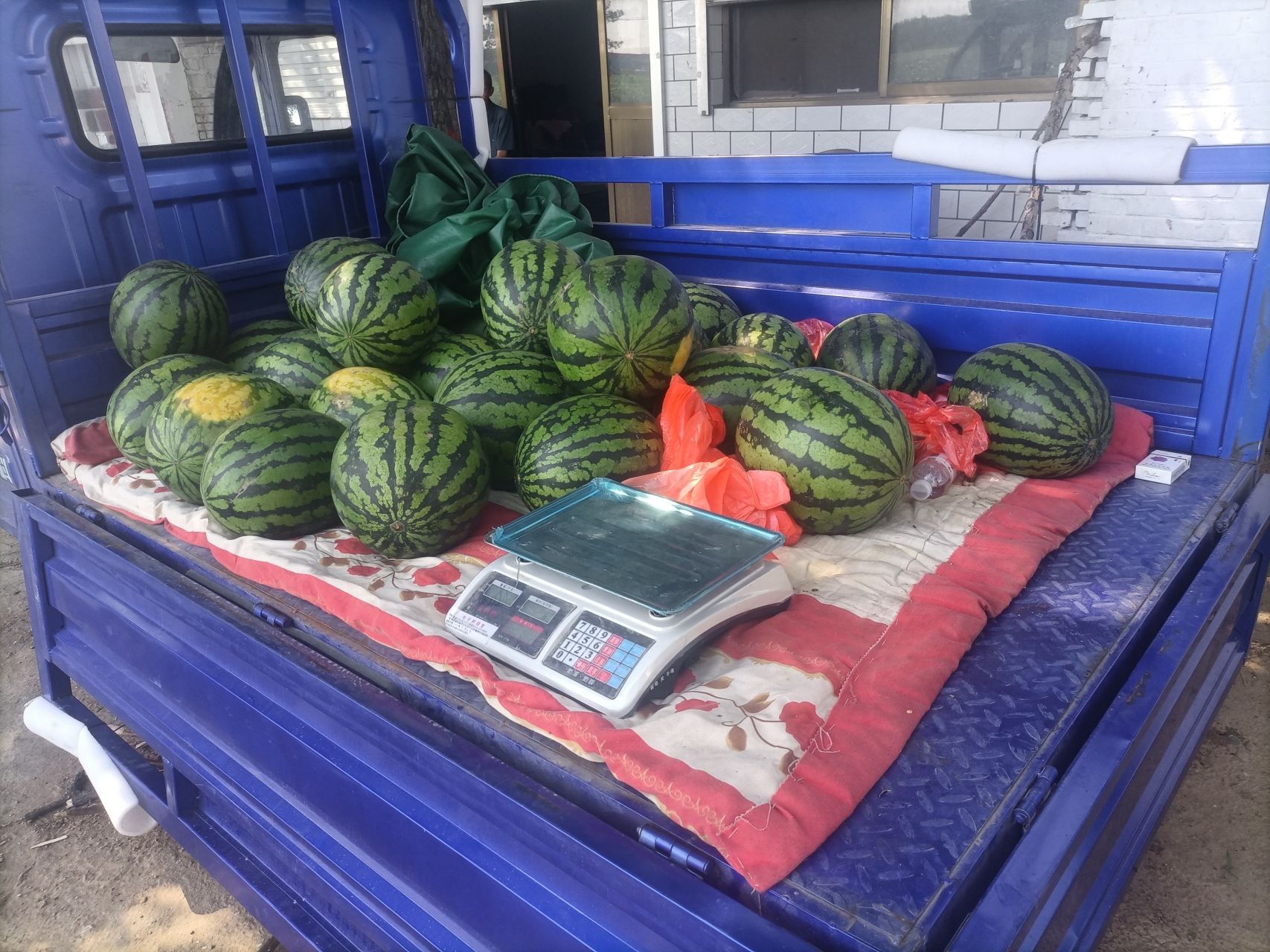 今天第一次摆地摊,卖西瓜,上午卖了十几个,看着很舒服的样子,其实心里