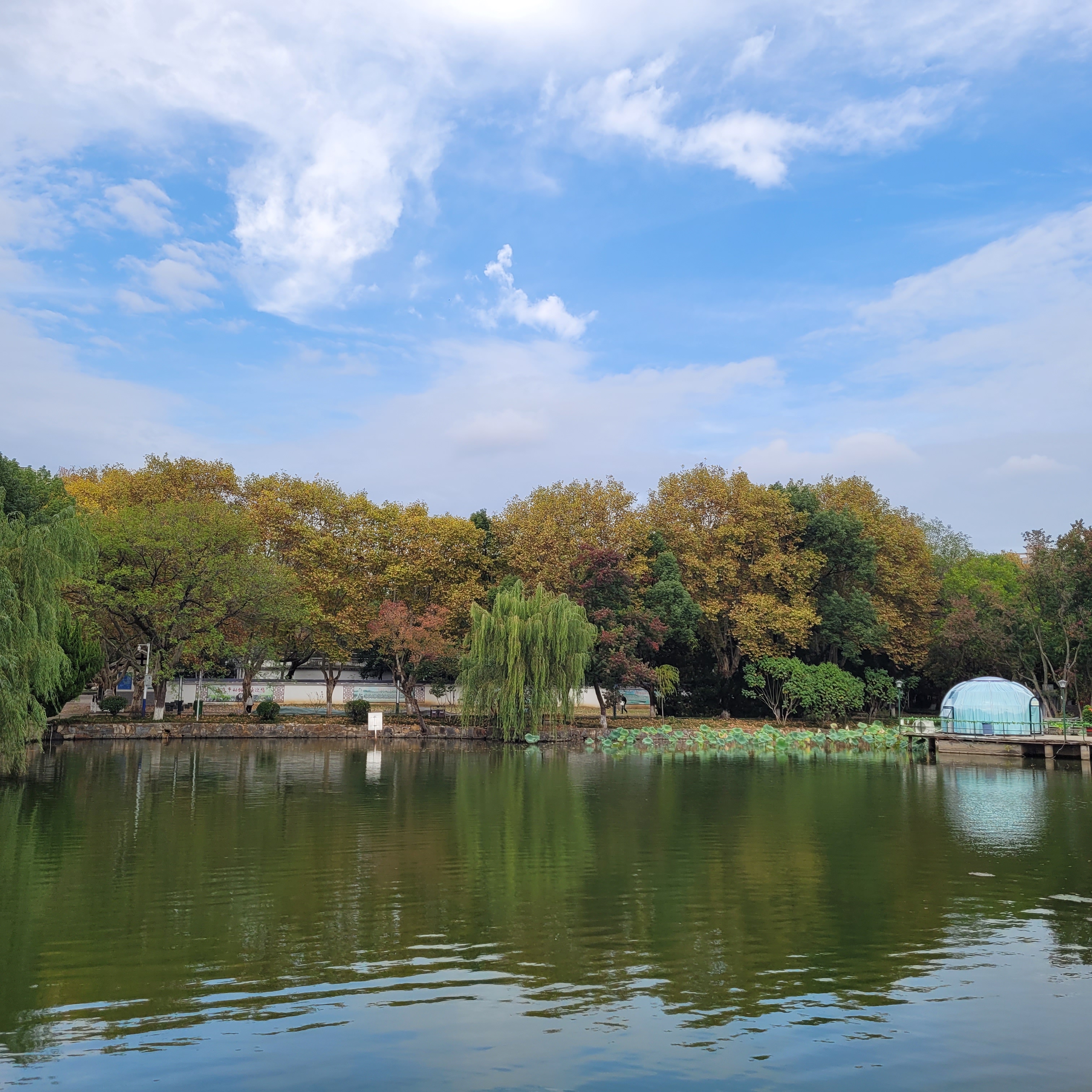 菱湖风景区图片