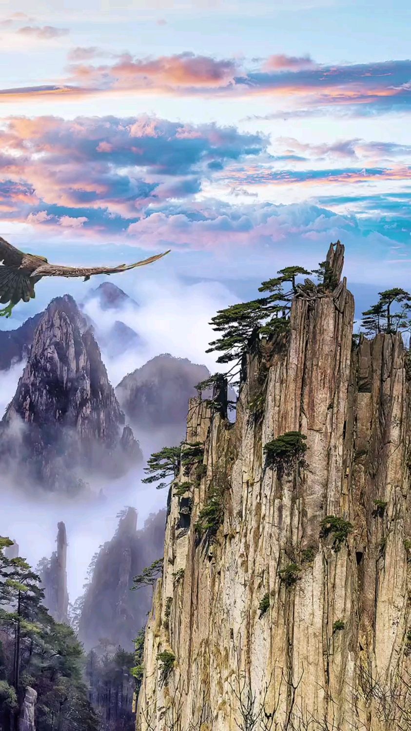 雄鹰展翅鹏程万里