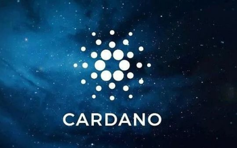 布局新蓝海：谁才是Cardano生态的DEX King