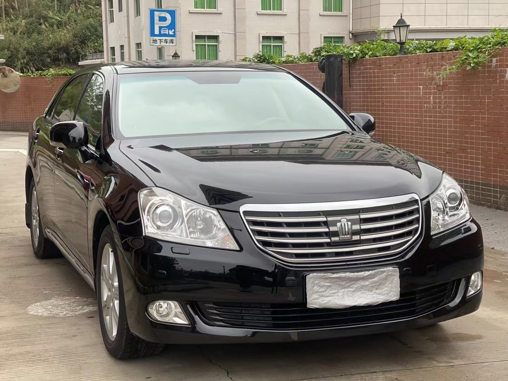 少有稀有物种2010年皇冠vip3.