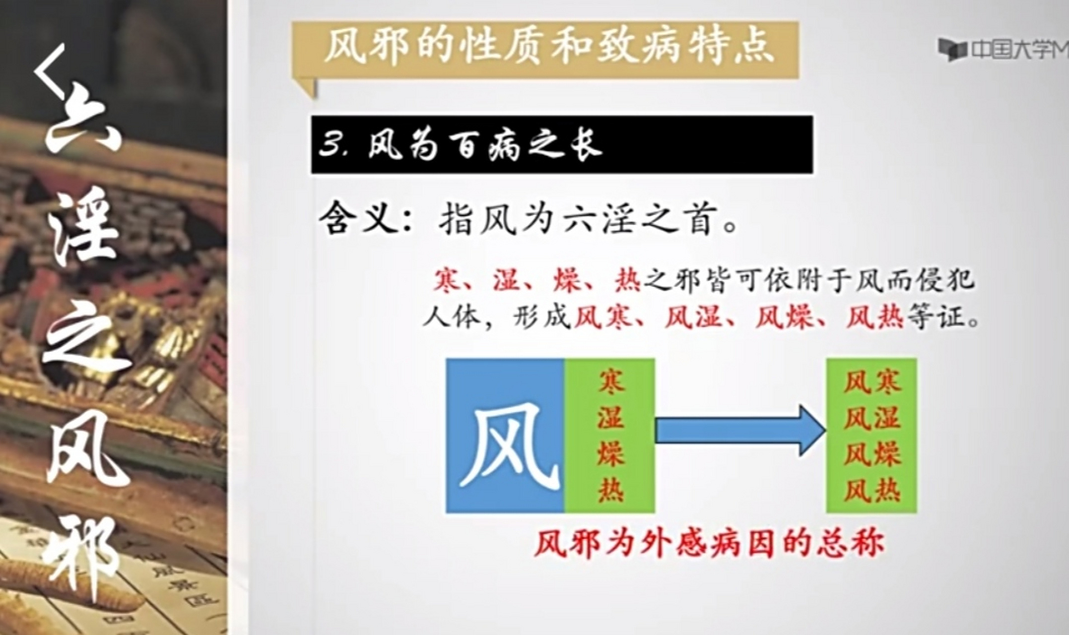 风邪的性质和致病特点3一一风为百病之长