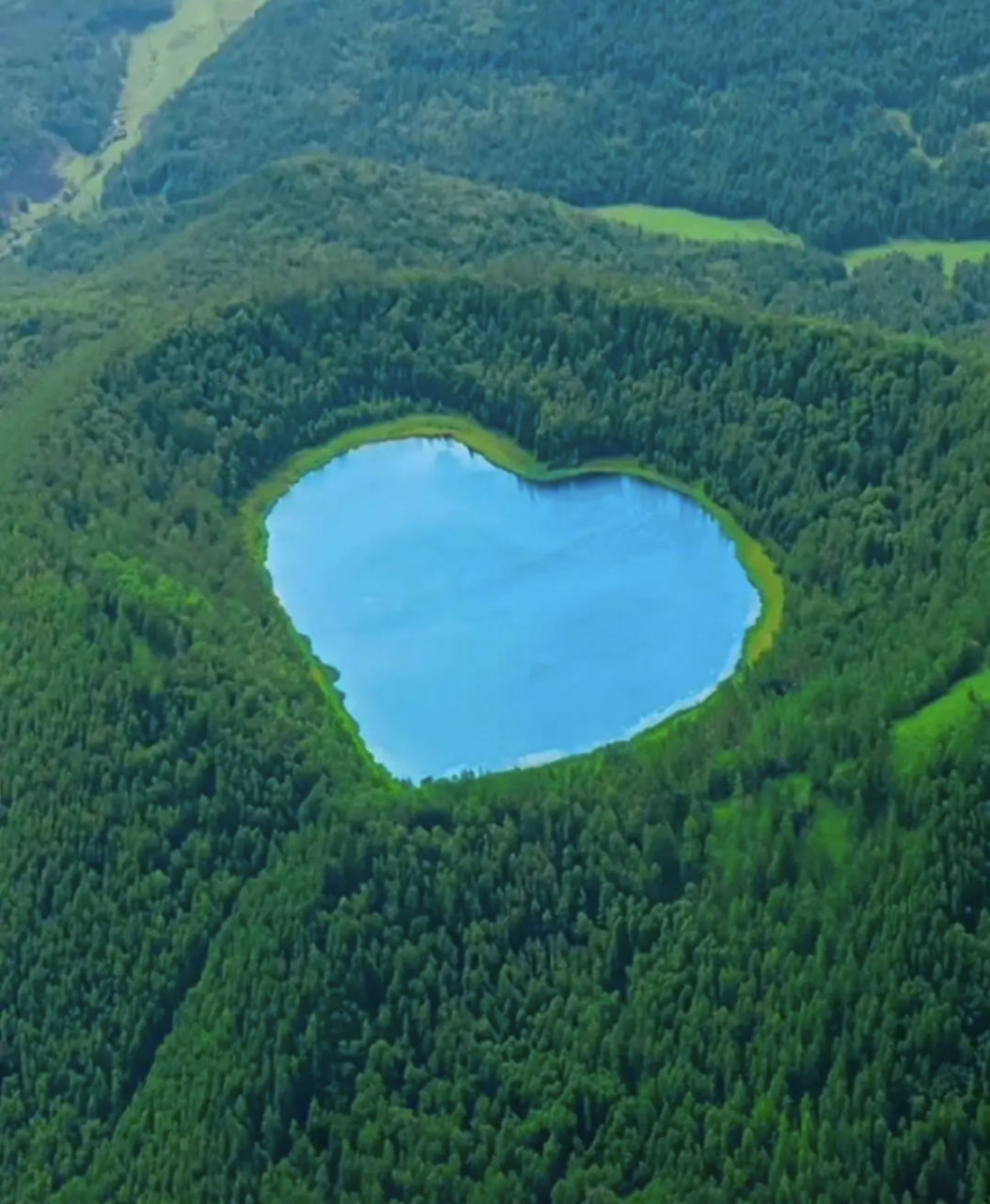 网友:爱心湖,看到了人能得到满满的爱,点赞的人永远不缺爱