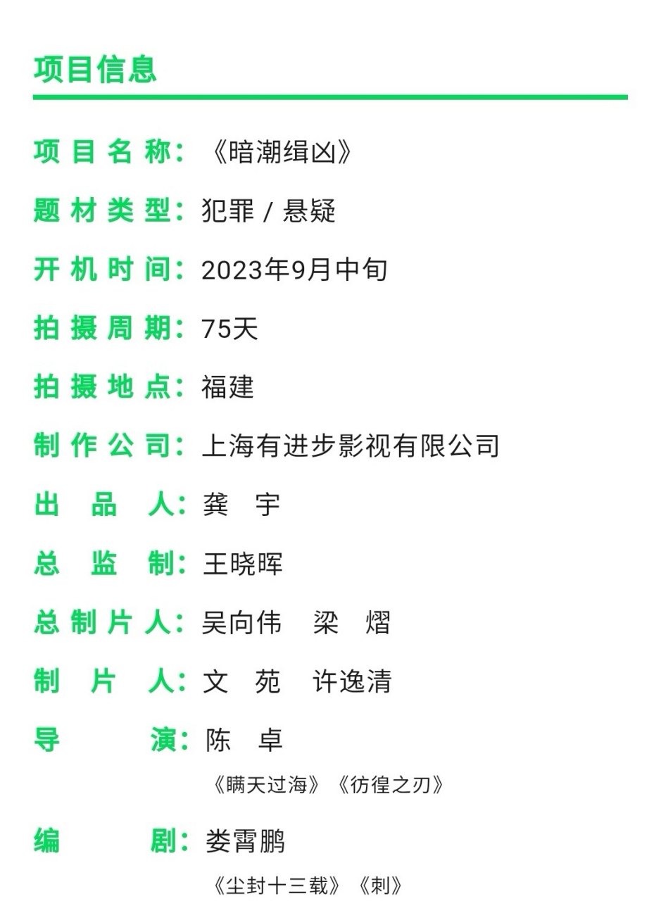 暗潮缉凶演员名单