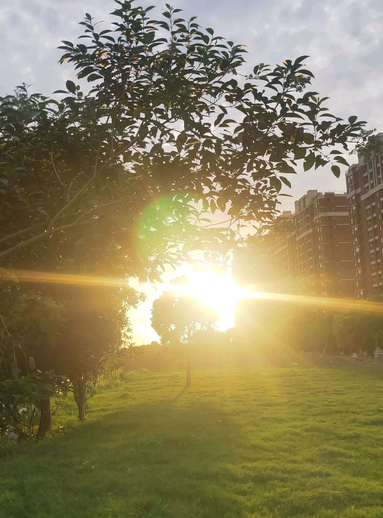 天门洞开 光照万物