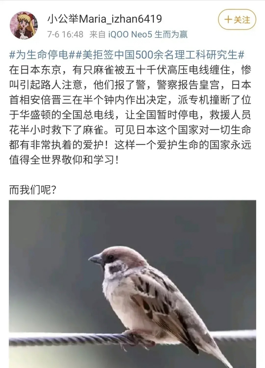 小公举maria_izhan,头条上大家可能不记得这货了.