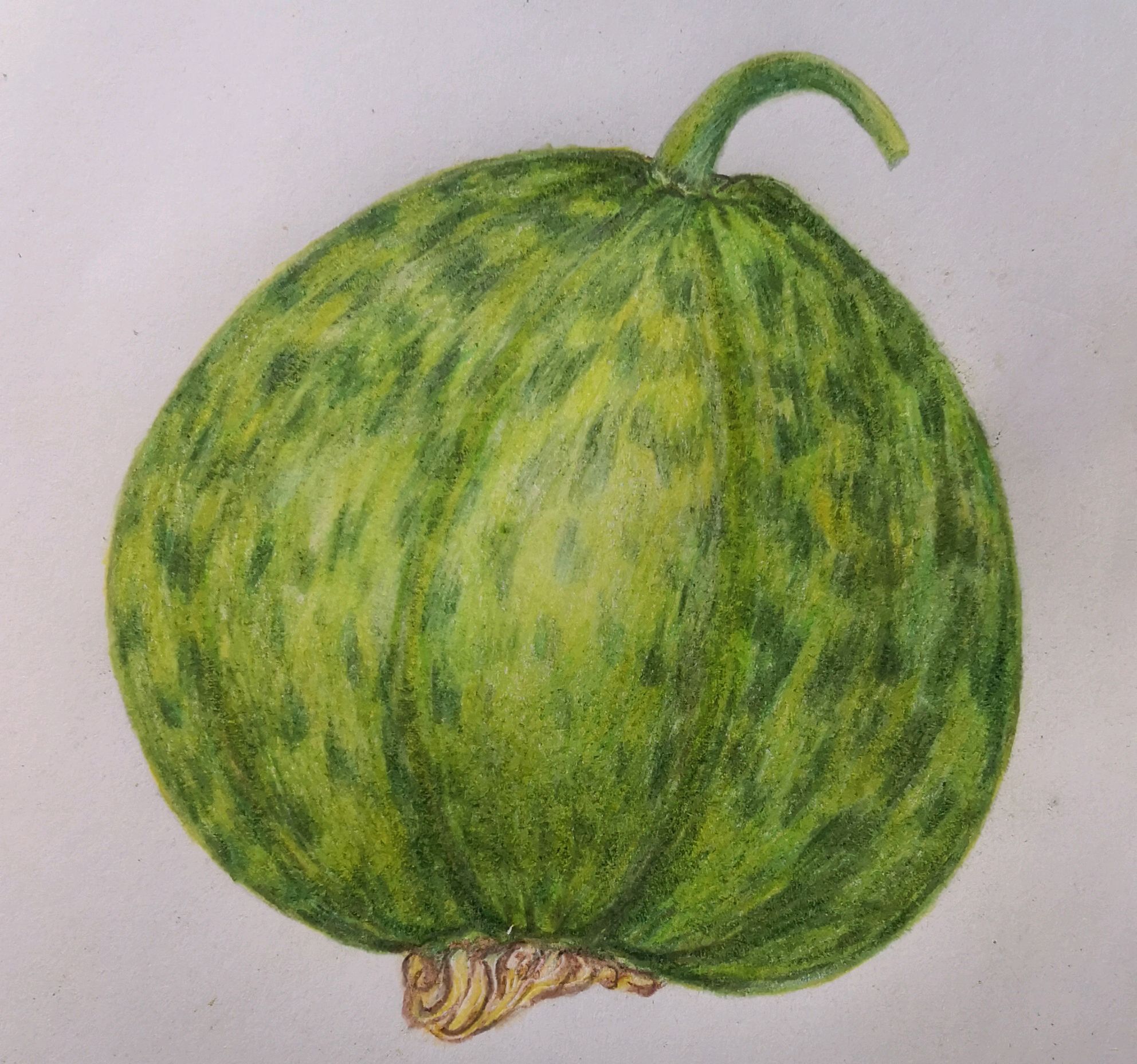 彩铅画:教大家画香瓜