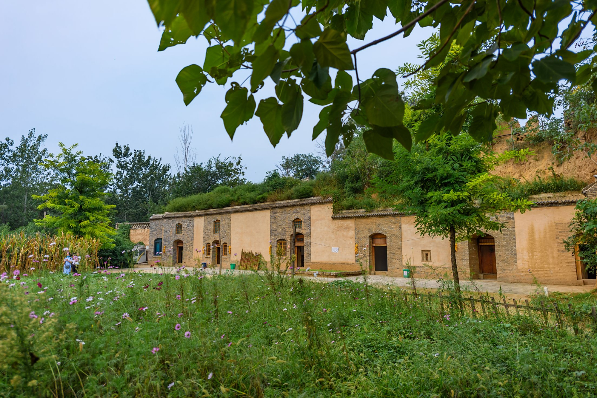 三游孟州老家莫沟三种不同的感受老家的乡愁味道越来越淡
