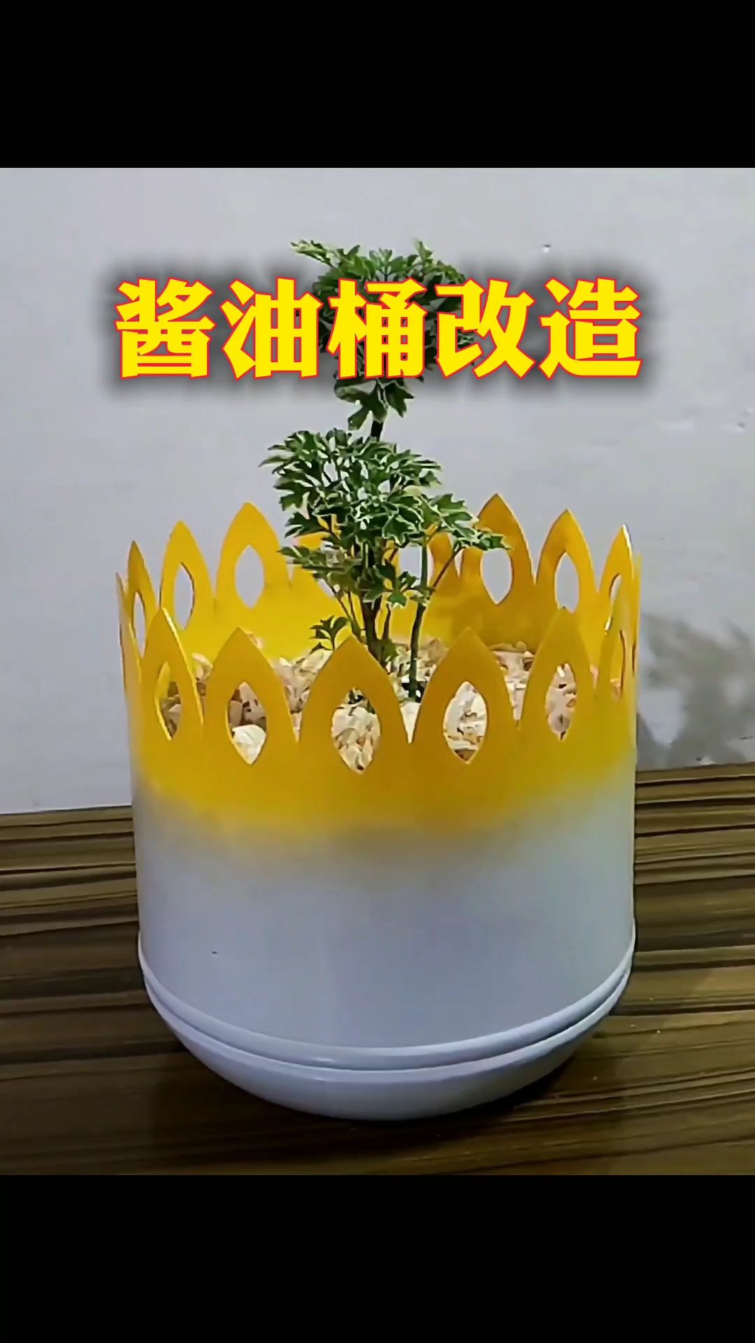 酱油瓶改造花盆图片