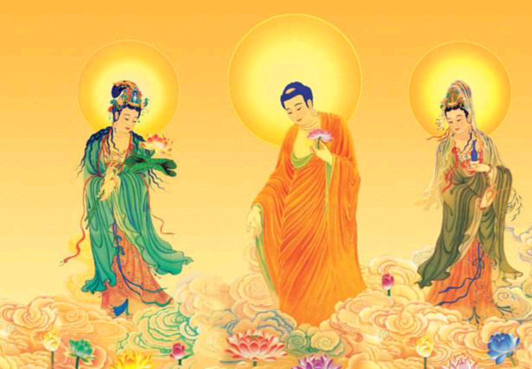 佛教,往生西方极乐世界的人,会不会再堕落?