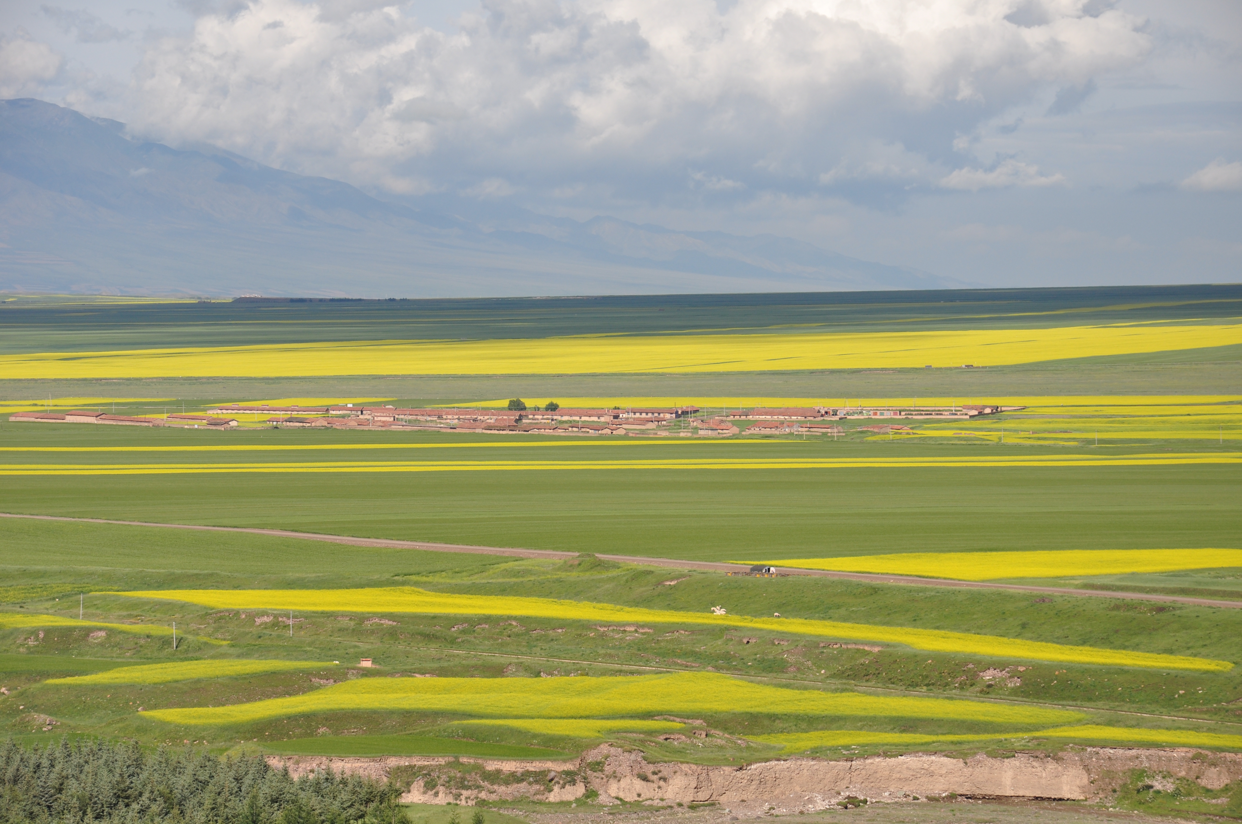农业现代化背景下农地制度改革的思考