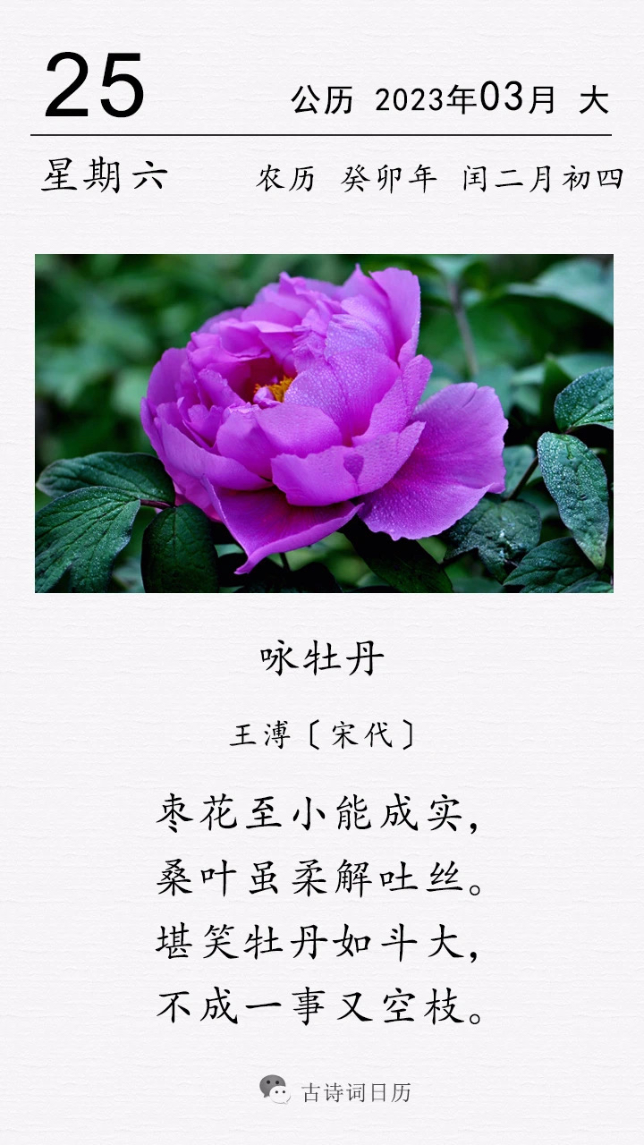 这是宋代诗人王溥的一首咏牡丹诗.  唐诗崇情,宋诗尚理.