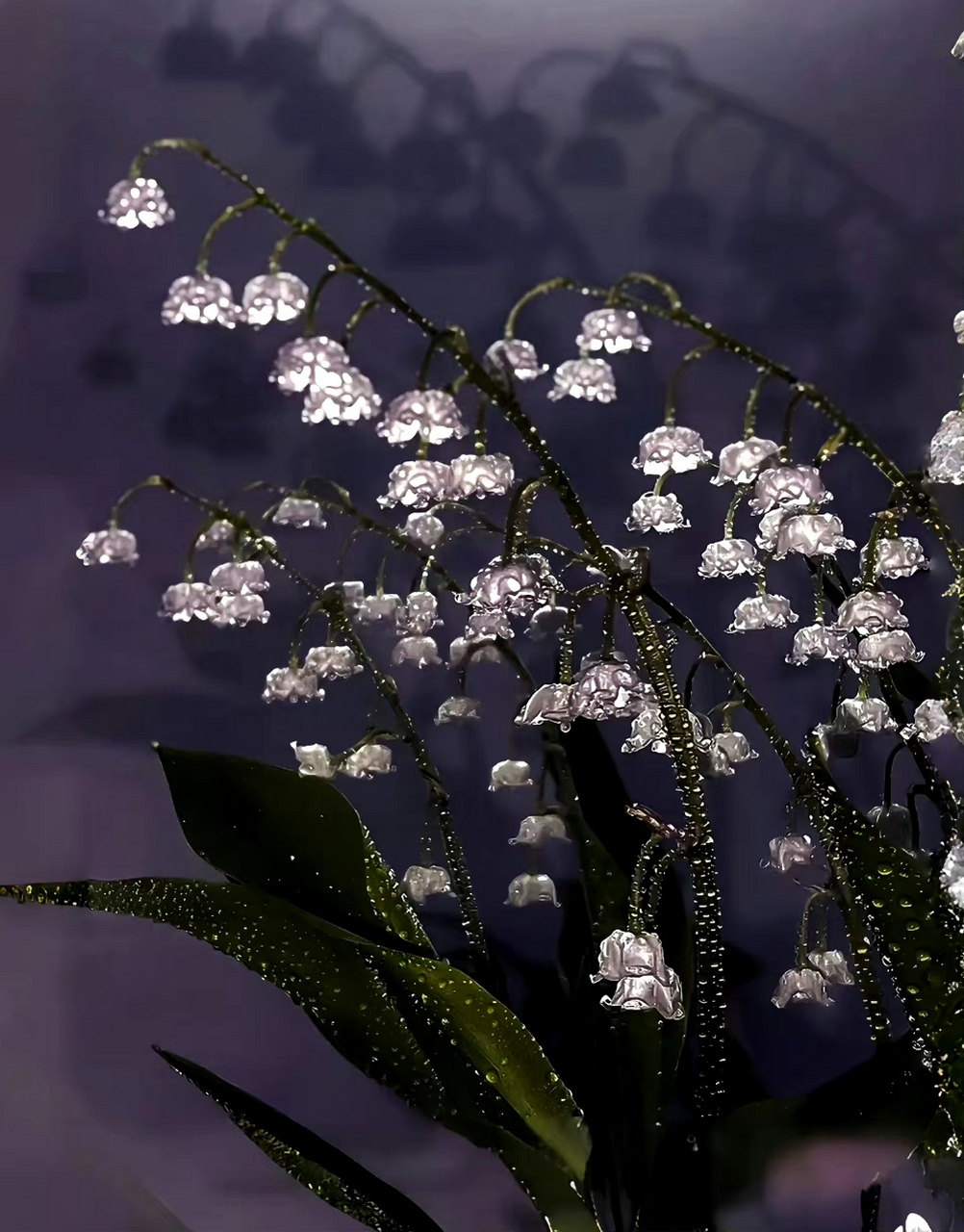 这可能是我迄今为止见过最惊艳的花了![嘻嘻][打call][打call]