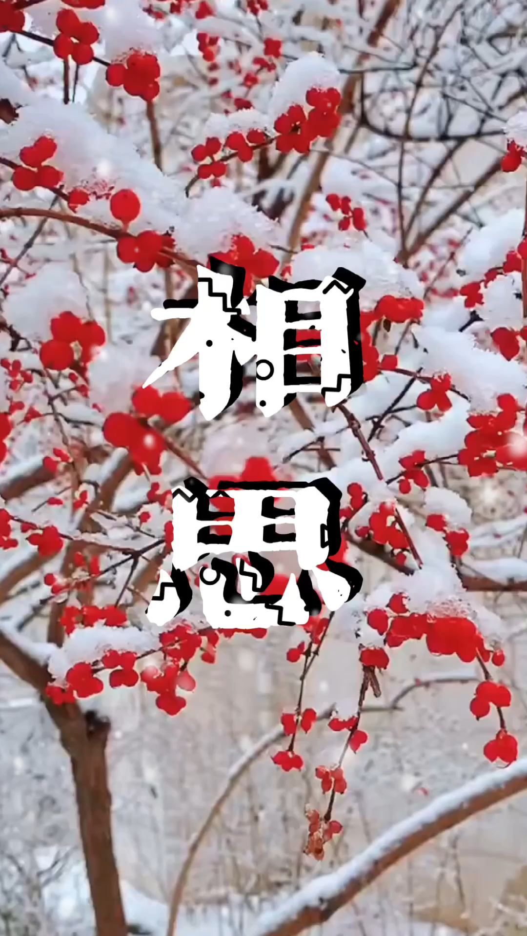原唱毛阿敏《相思》西游记后传片尾曲:红豆最相思,撩动心弦,柔情似水
