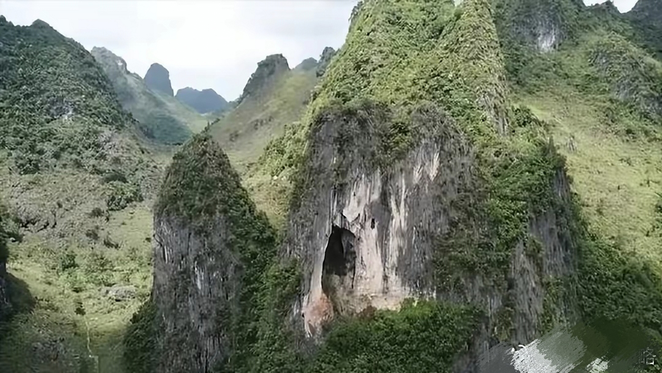 山西悬崖上的山洞,60岁老尼姑守护着1条大蟒蛇,上去吓得腿软!