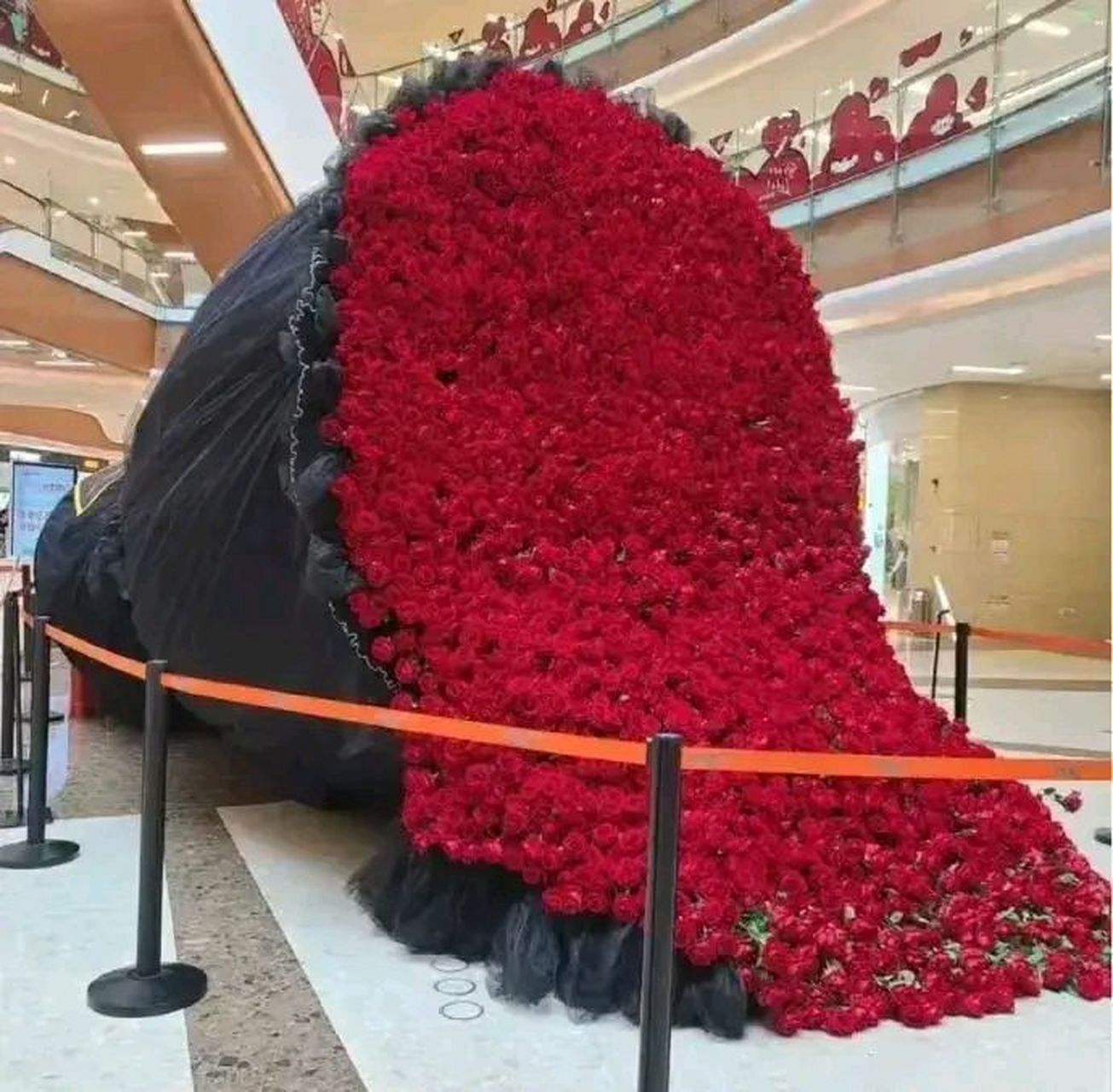 送9999朵玫瑰代表什么(送9999朵玫瑰代表什么含义)