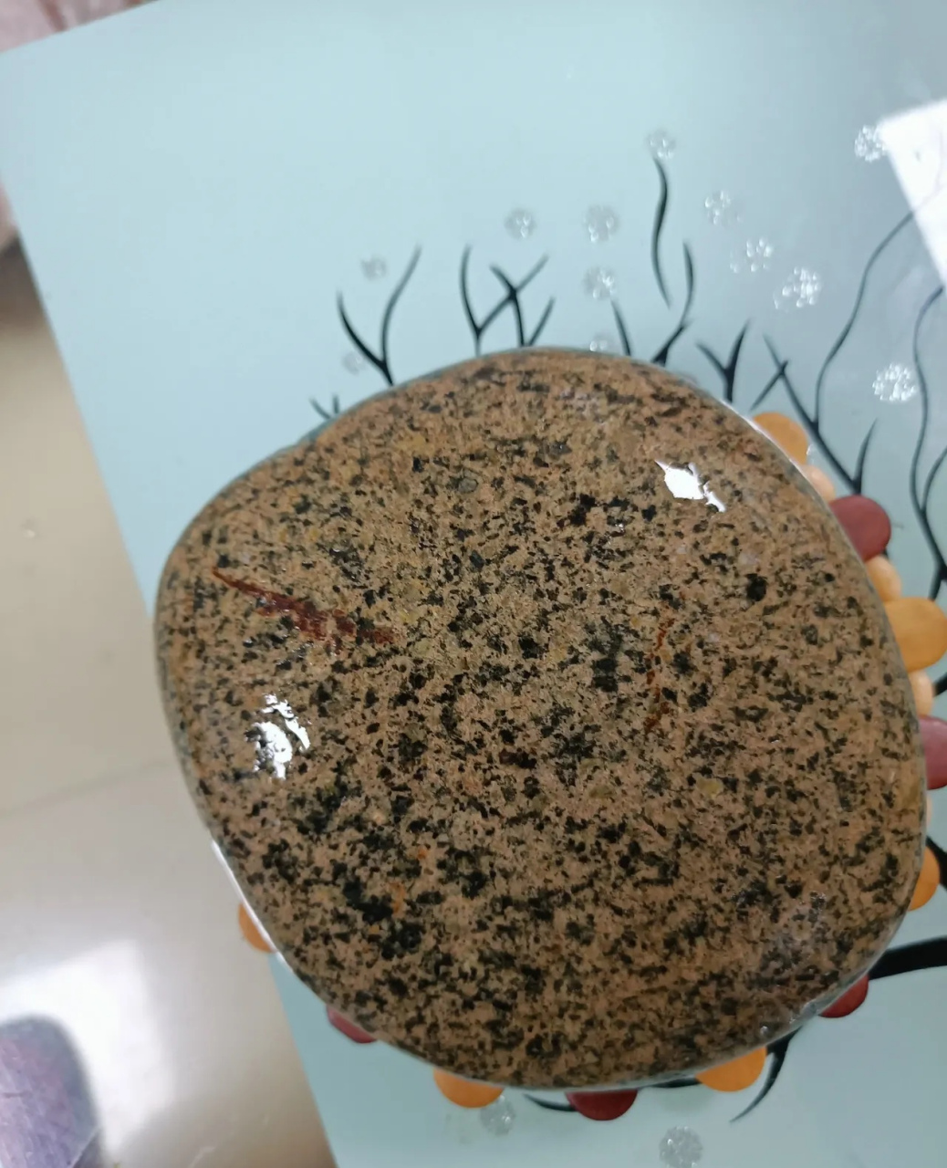 昨天去山上,捡了块石头,想着压酸菜用,洗干净了一看是块雪花石,有没有