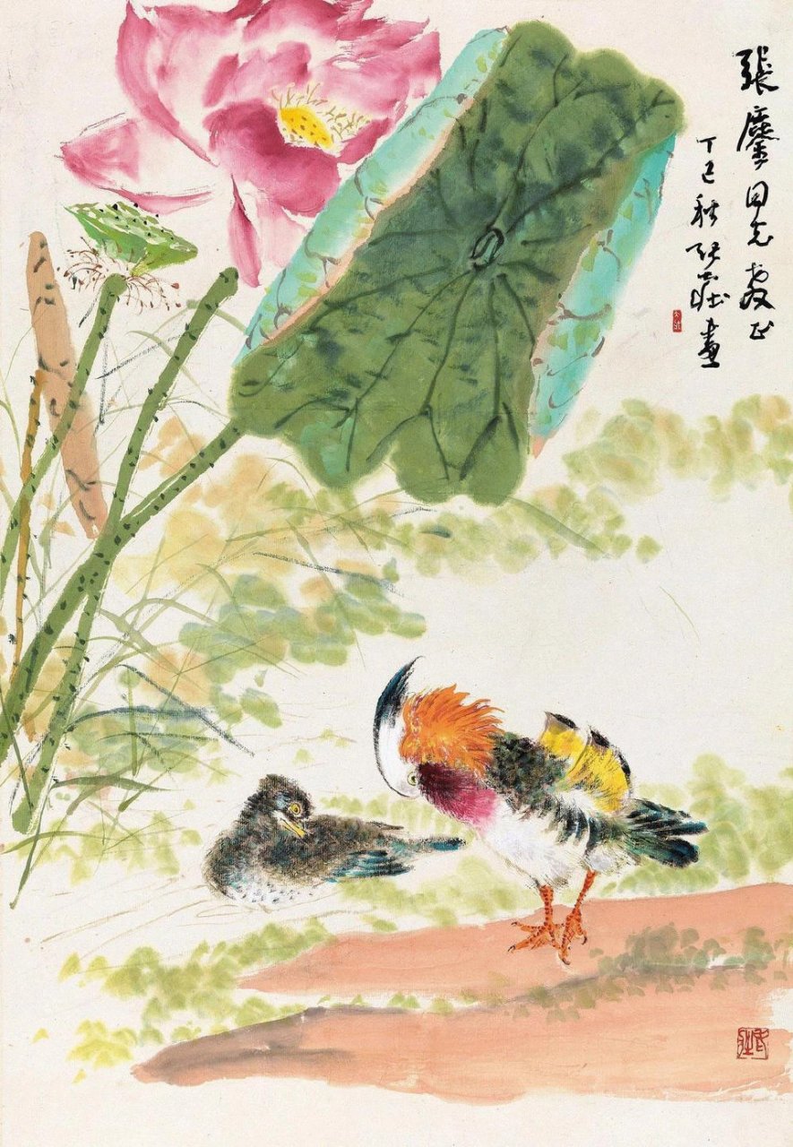 花鸟画荷花水鸟 画家:张大壮 676767 #绘画欣赏