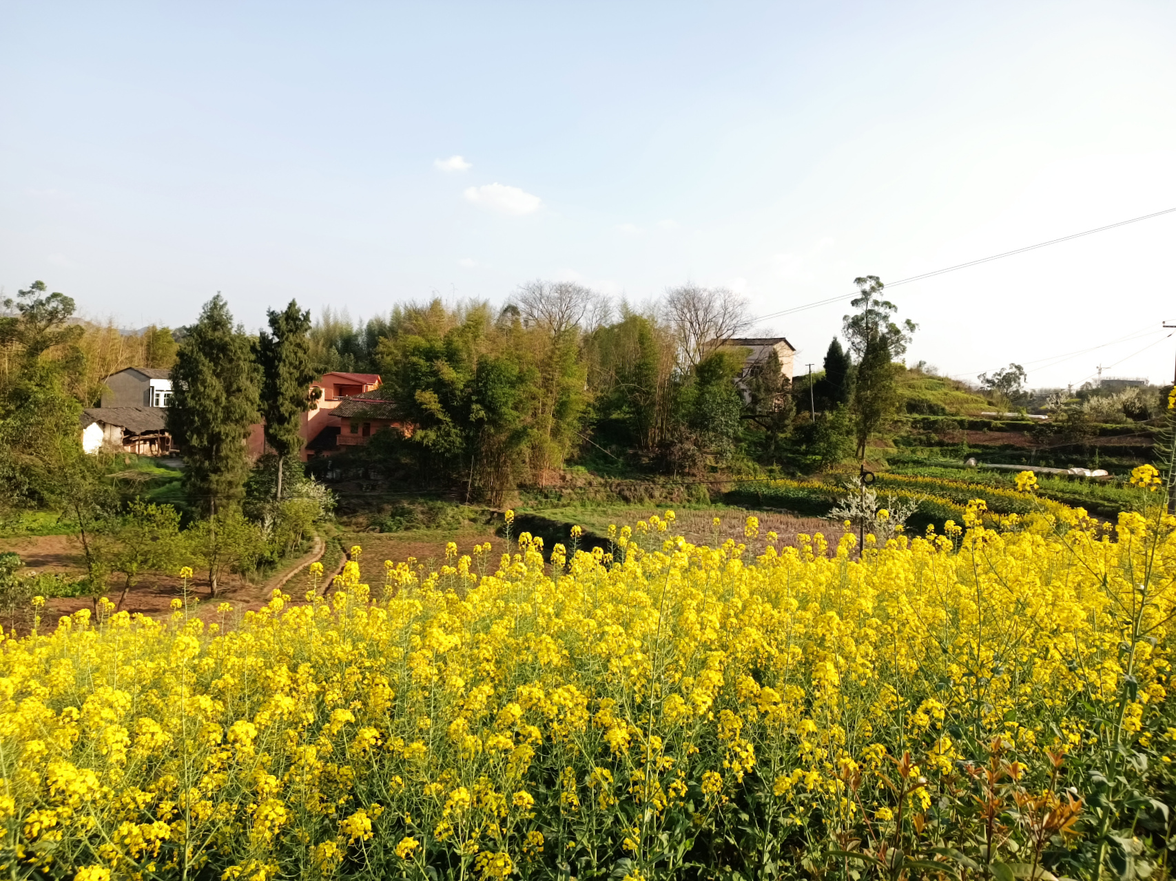漂亮的乡村风景#摄影# #中国美景大赏# #农村