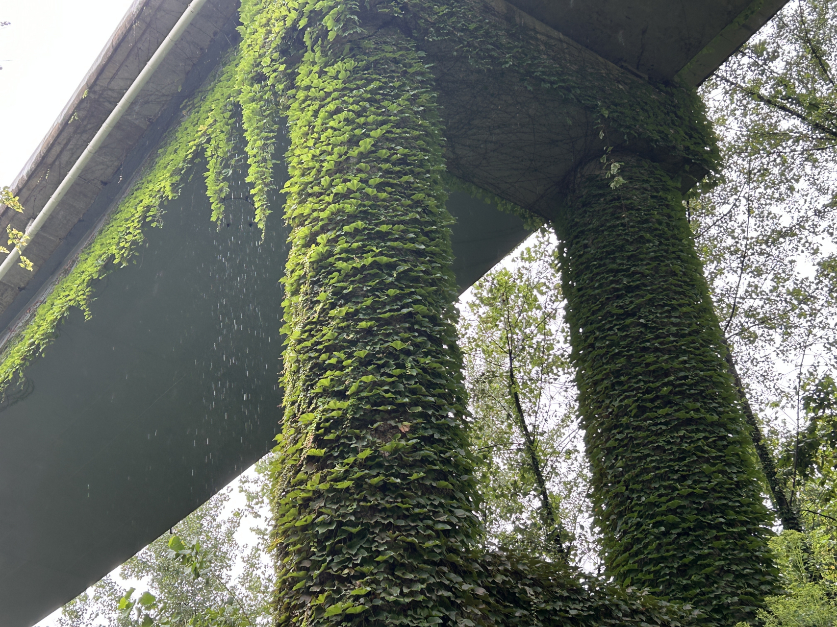 重庆巴南区大山村的一座立交桥,最上面一层为内环快速道,中间是轨道三