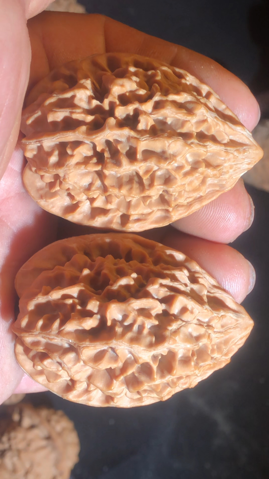 文玩核桃招财鼠,边39.5肚43高53.5全品无修!-度小视