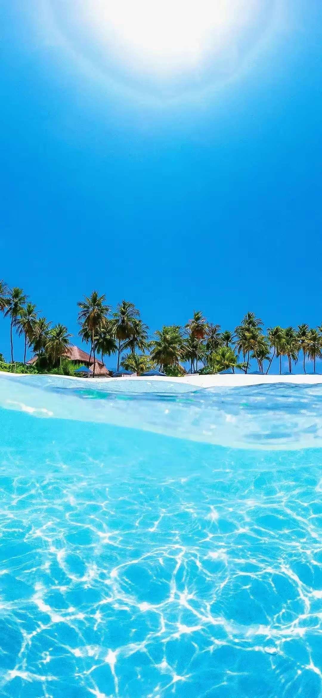 1080_2338竖版 竖屏