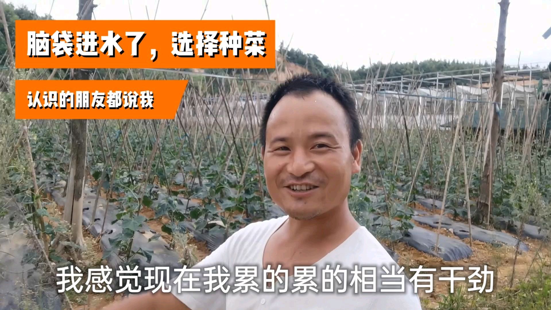 朋友都骂我,家里条件不差选择种菜,又苦又累,脑袋是不是进水了