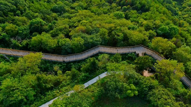 余江马祖岩图片