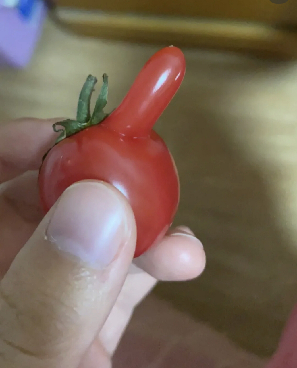 这西红柿还能吃吗?有点离谱.#趣图搞笑