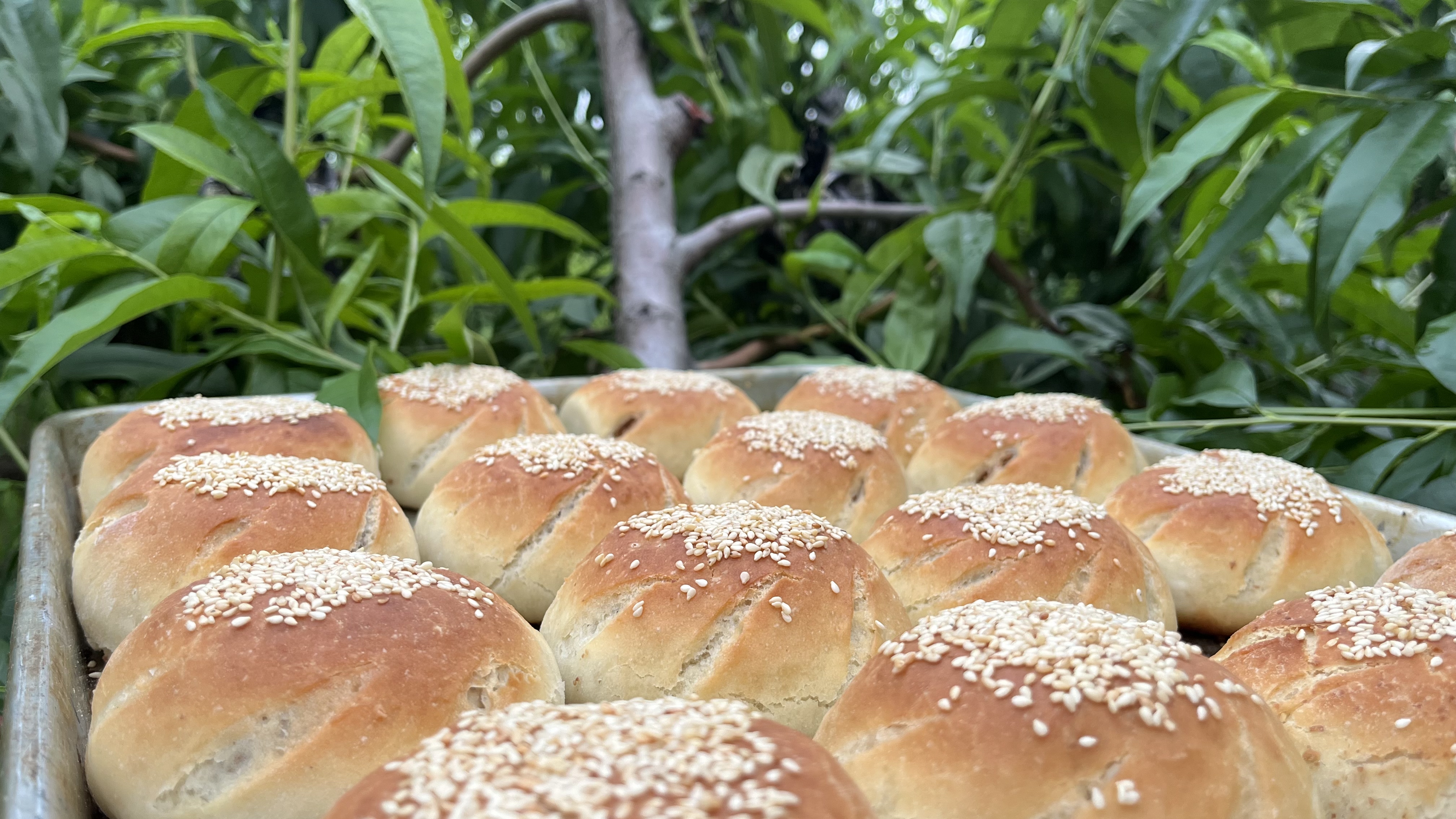 蜂蜜烧饼制作详细步骤,浓浓的蜂蜜味道特好吃