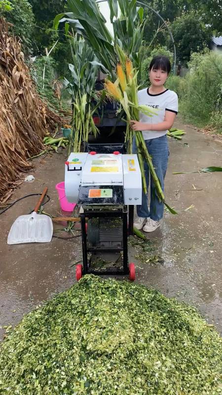 8吨型铡草揉丝一体机,干湿两用,全株玉米秸秆也没有问题,长短可调-度