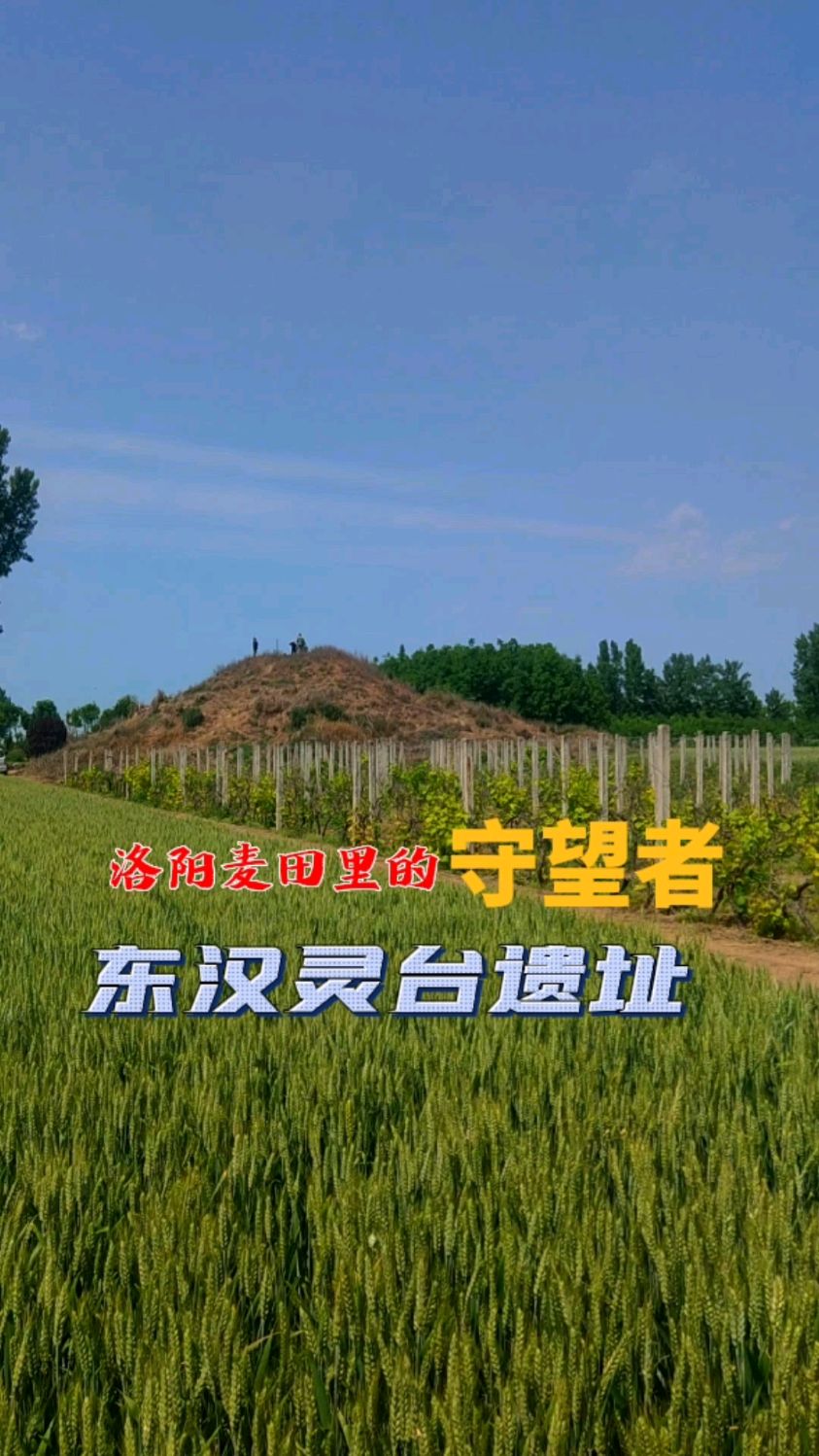 洛阳麦田里的守望者东汉灵台遗址