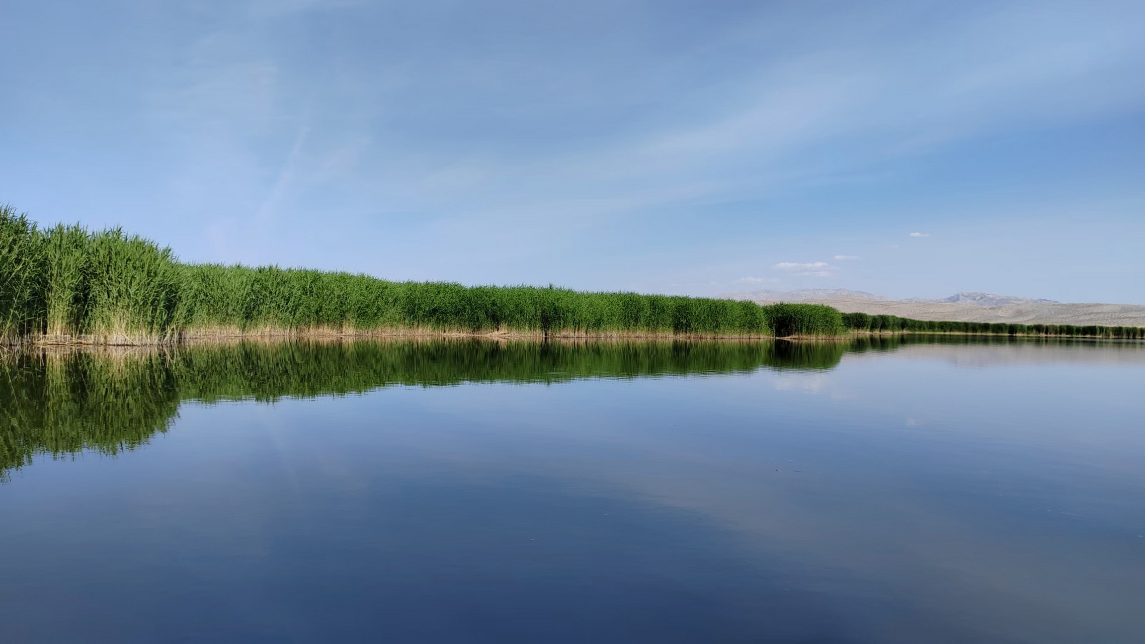 新疆库尔勒市博斯腾湖属于山间陷落湖,湖体分为大湖区和小湖区两部分