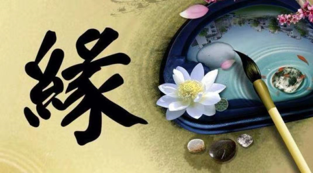 遇见,是最美的缘分