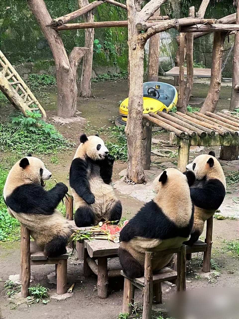 没p图 一点没有[滑稽][滑稽][滑稽]