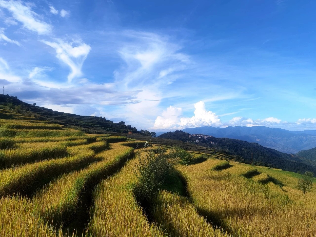 元江县旅游景点有哪些图片