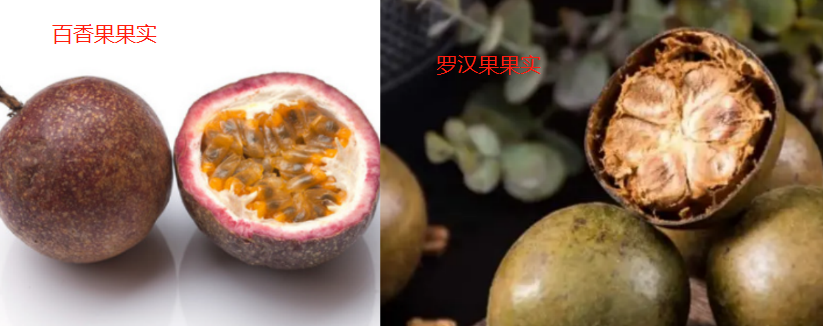 百香果和罗汉果的区别