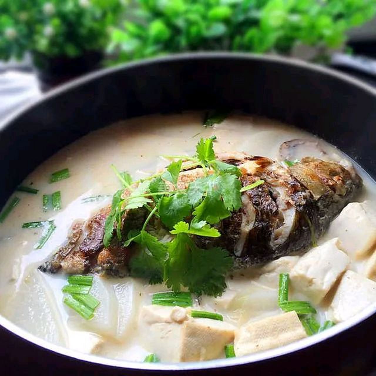 鲫鱼炖豆腐是一道营养丰富的家常菜,以其鲜美的味道和滋补的功效而
