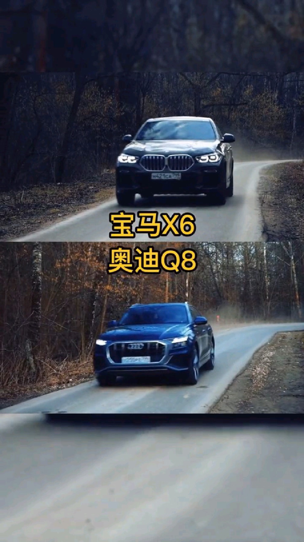 宝马x6对比奥迪q8