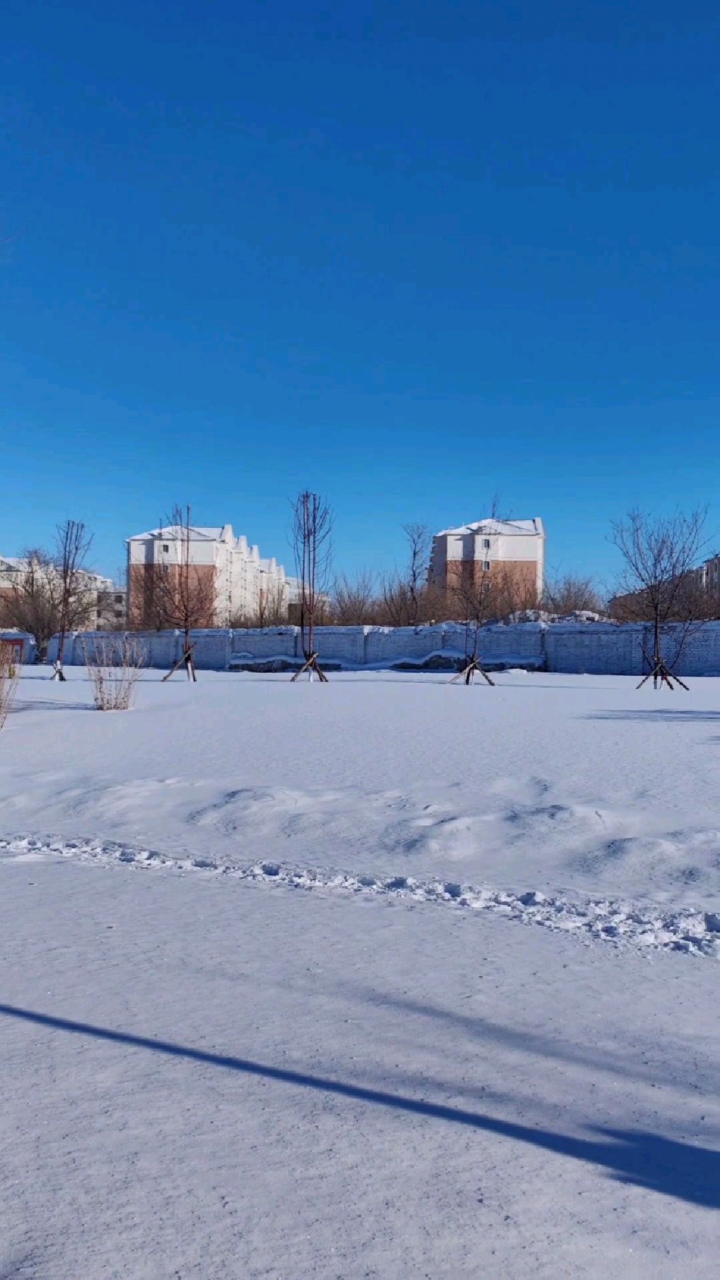 海拉尔,冬季,举目皆是白雪茫茫;蓝天之下,银装素裹,这个世界原本就是