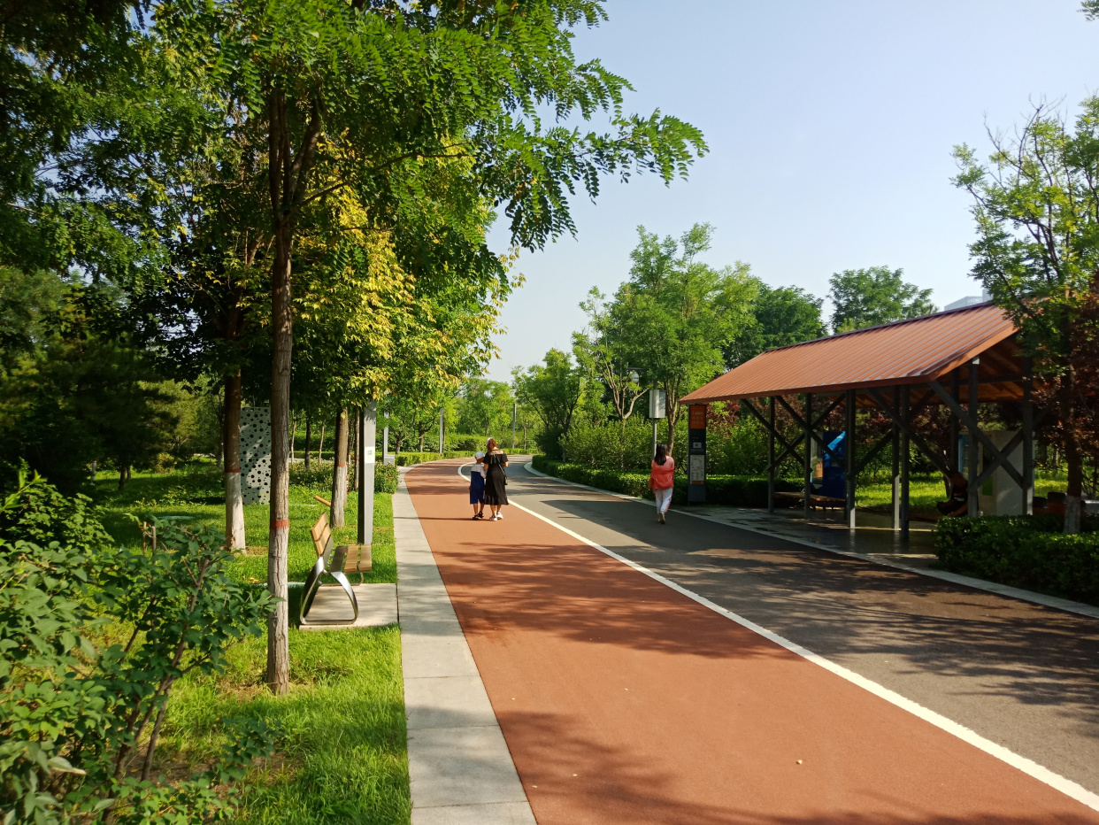 民生问题001:小区绿化带归谁管