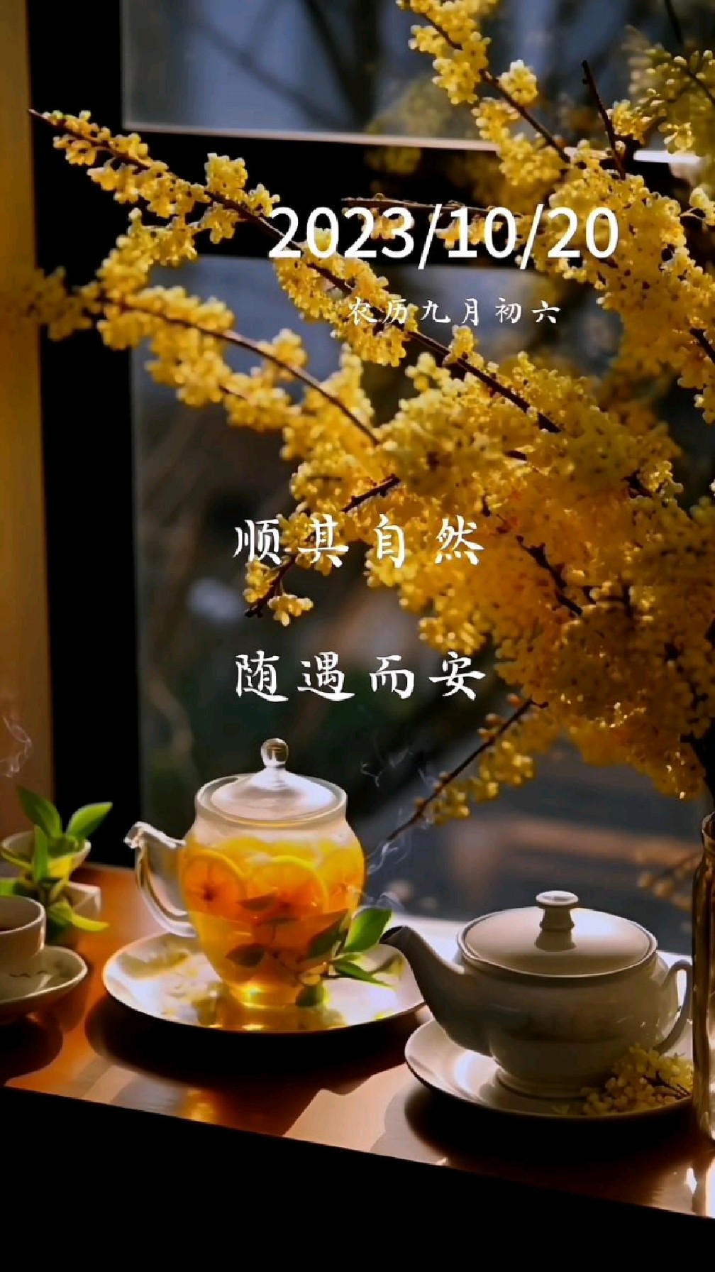 顺其自然,随遇而安