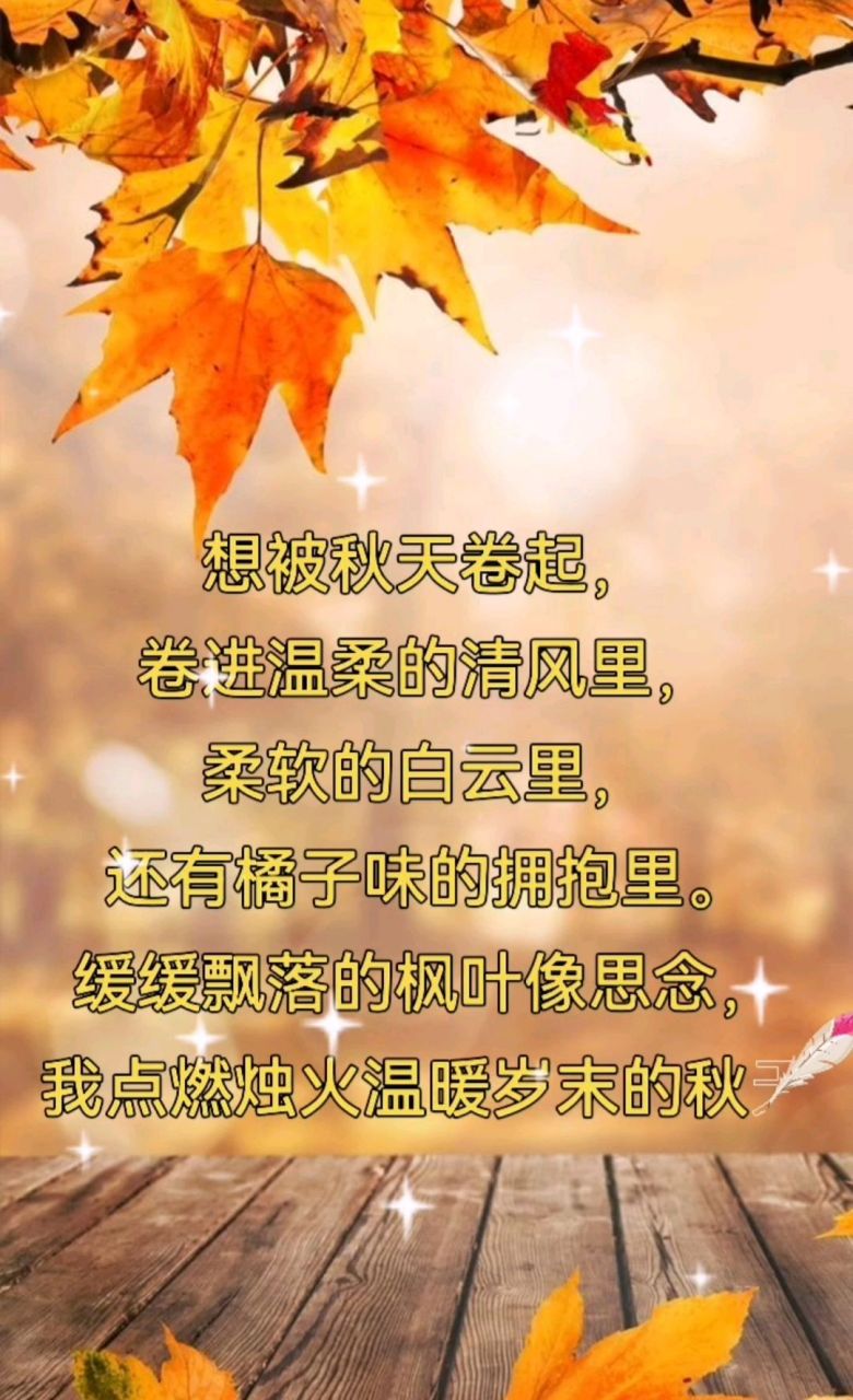 深秋薄念,花不語,風卻懂.