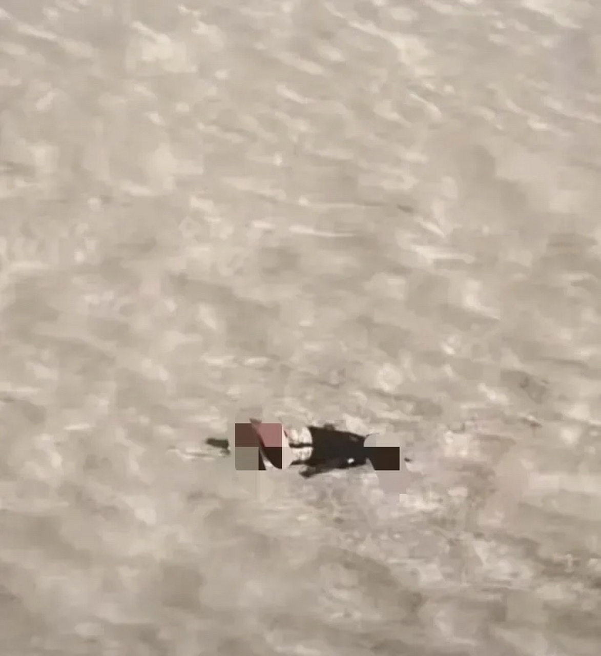 这比被火烧死都残忍吧,活活脱水热死.