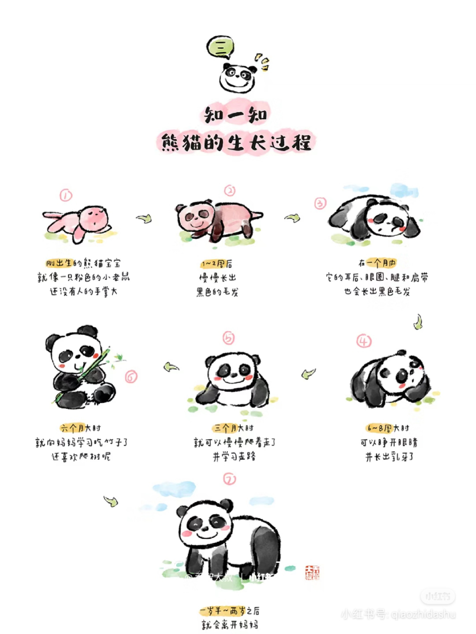 的"国宝"和"活化石"目前大约有67只大熊猫旅居国外分别生活在20个国家