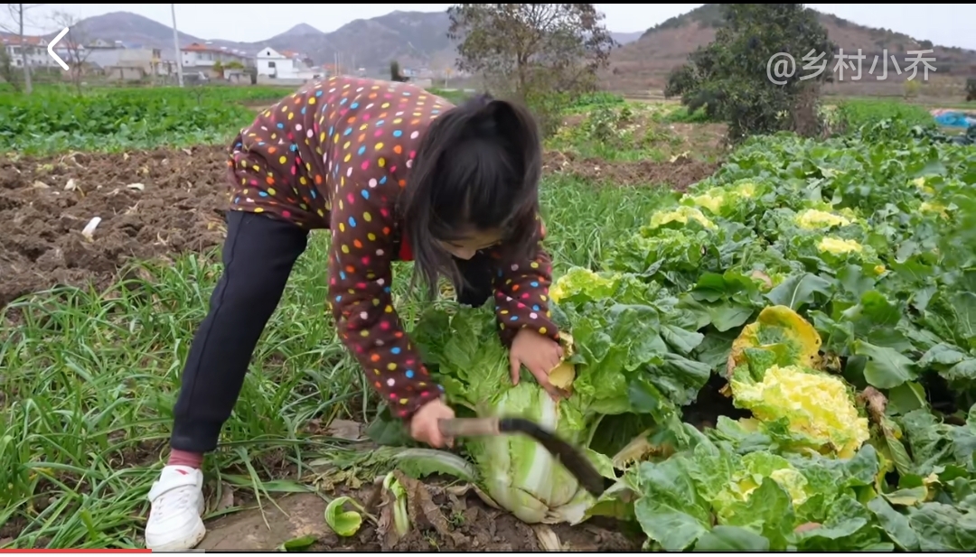 乡村小乔照片图片