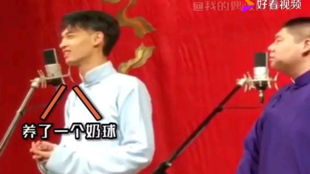 老秦奶球儿飘了,都不理我了秦霄贤德云社